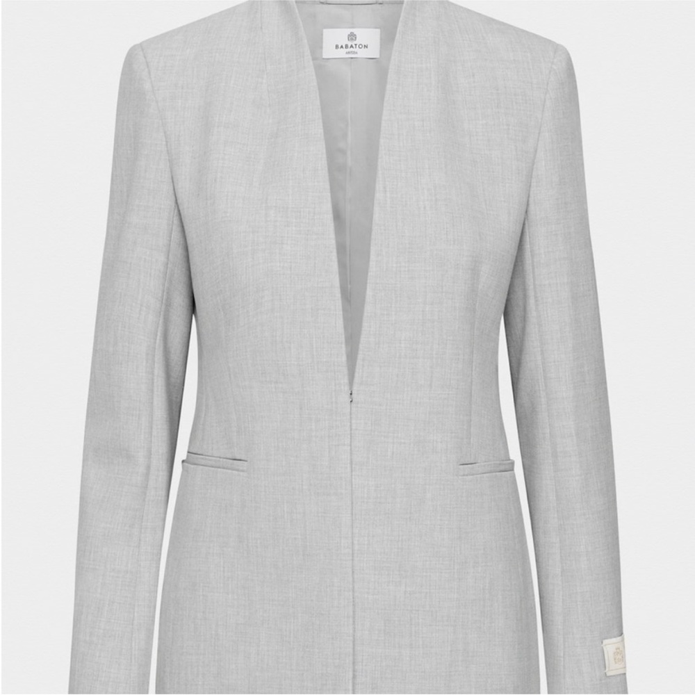 Babaton commerce blazer